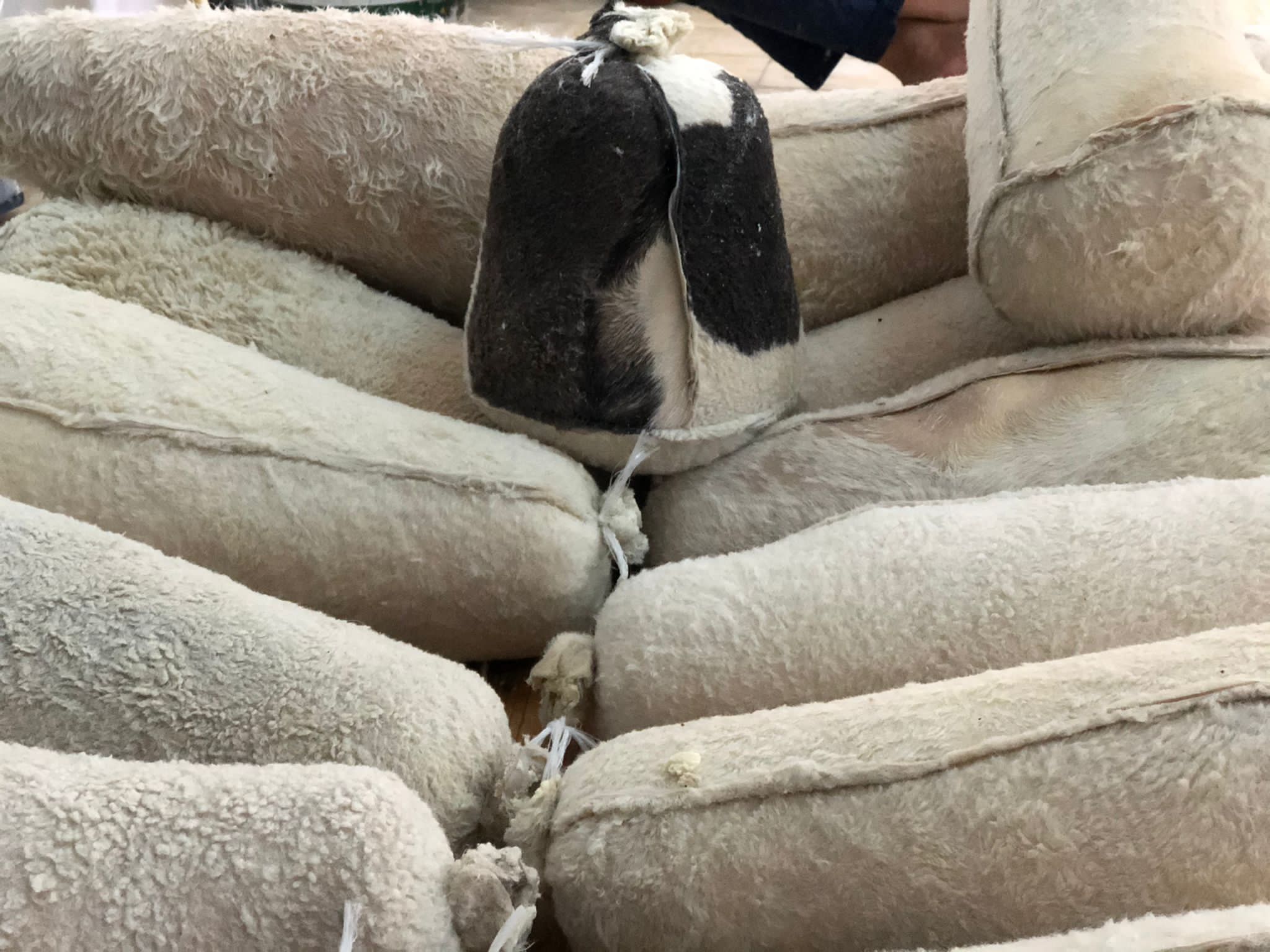 erzincan-deri-tulum-peyniri-1350-gram