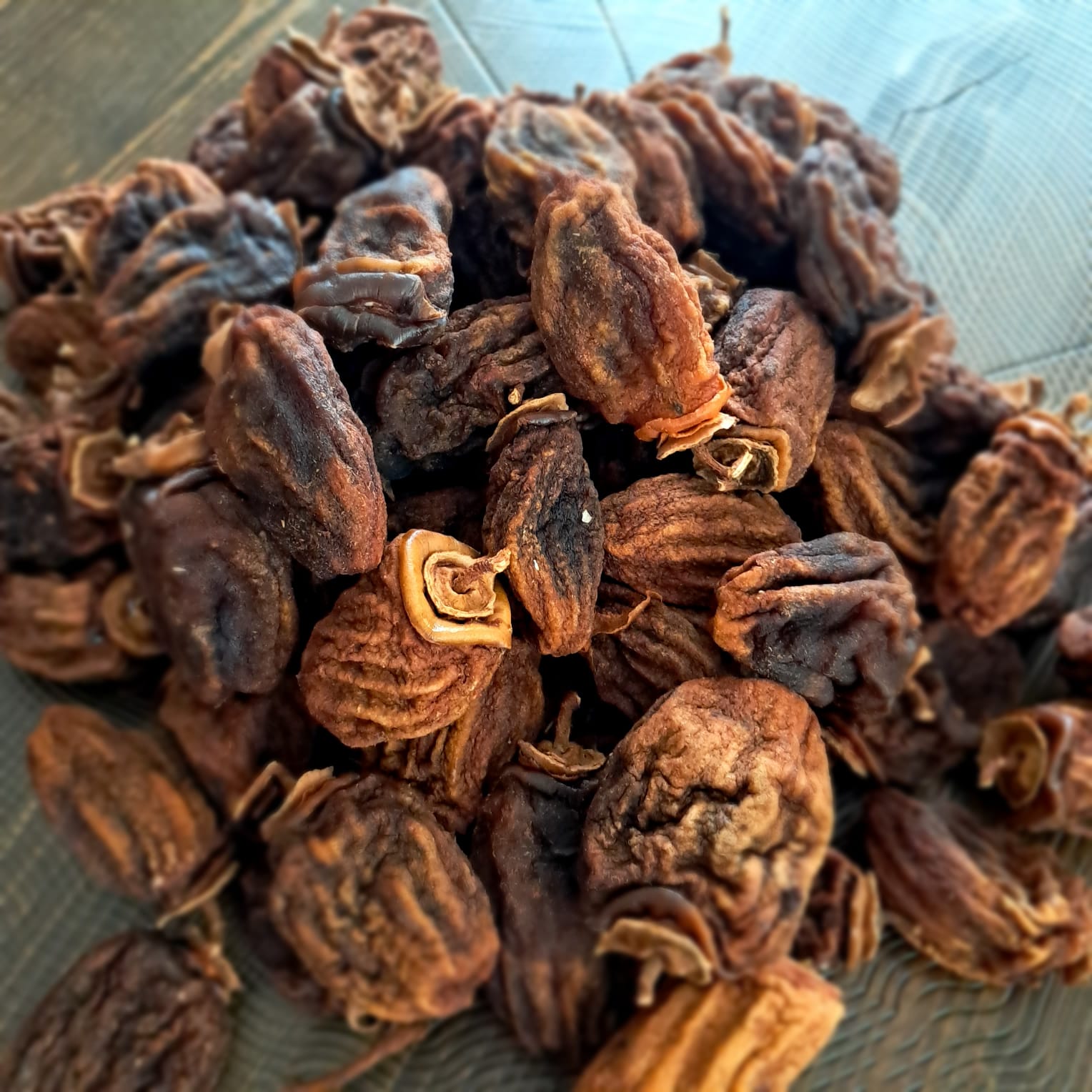 gulvera-cennet-hurmasi-kurusu-kg-kampanyali