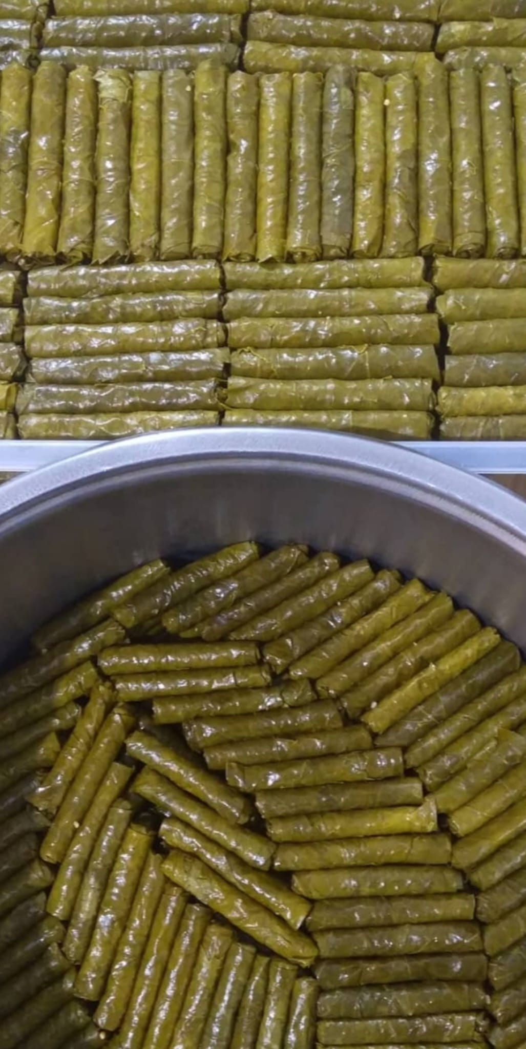 manisa-salamura-yaprak-5-litre